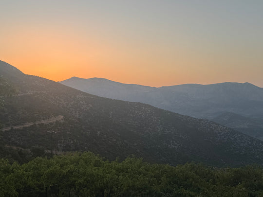 Orthodox Morning Prayers Audio (Digital Download)